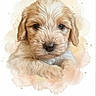 puppy, dog, watercolor, illustration, portrait, fluffy, fur, brown_fur, white_fur, face, eyes, nose, ears, animal, cute, adorable, pastel, paint_splashes, artwork, centered_composition