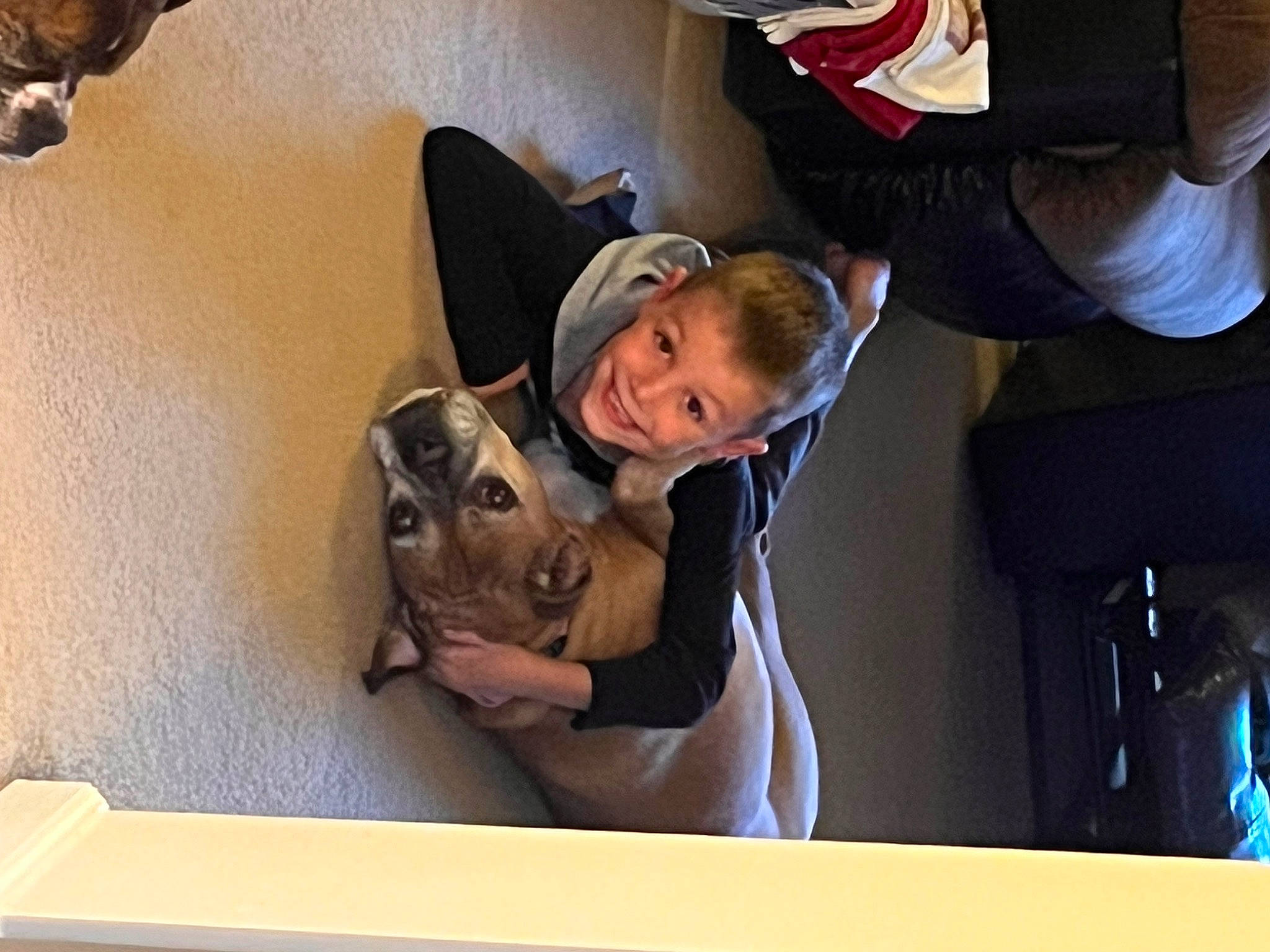 Trevor joined the competition — help win amazing prizes! army, baseball_cap, canidae, cap, carnivore, child, comfort, companion_dog, dog_breed, fawn, fun, fur, guard_dog, hat, joy, military, military_person, person, room, sitting