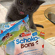 Anatole participe au concours pour gagner de l'argent avec cette photo : kitten, gray_cat, tongue_out, snack_package, kinder_schoko_bons, indoor, wooden_floor, glass_table, curious, pet, animal, close_up, playful, feline, food_packaging, table, home, cute, young_cat, domestic_cat