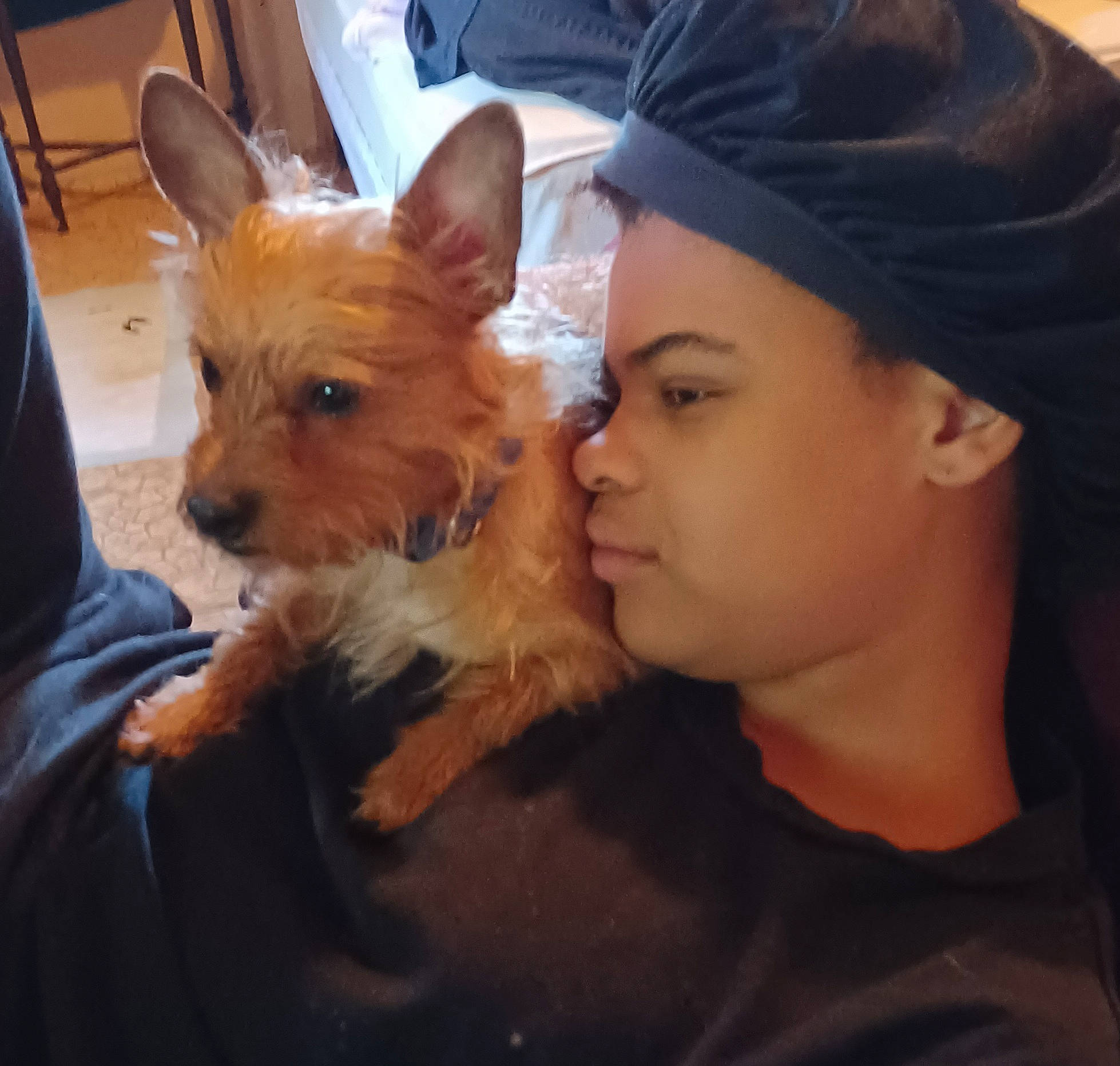 Coco joined the competition — help win amazing prizes! baseball_cap, canidae, cap, carnivore, companion_dog, corgi_chihuahua, dog, dog_breed, ear, eye, fashion_accessory, fawn, fur, non_sporting_group, puppy, small_terrier, snout, sporting_group, toy_dog, whiskers