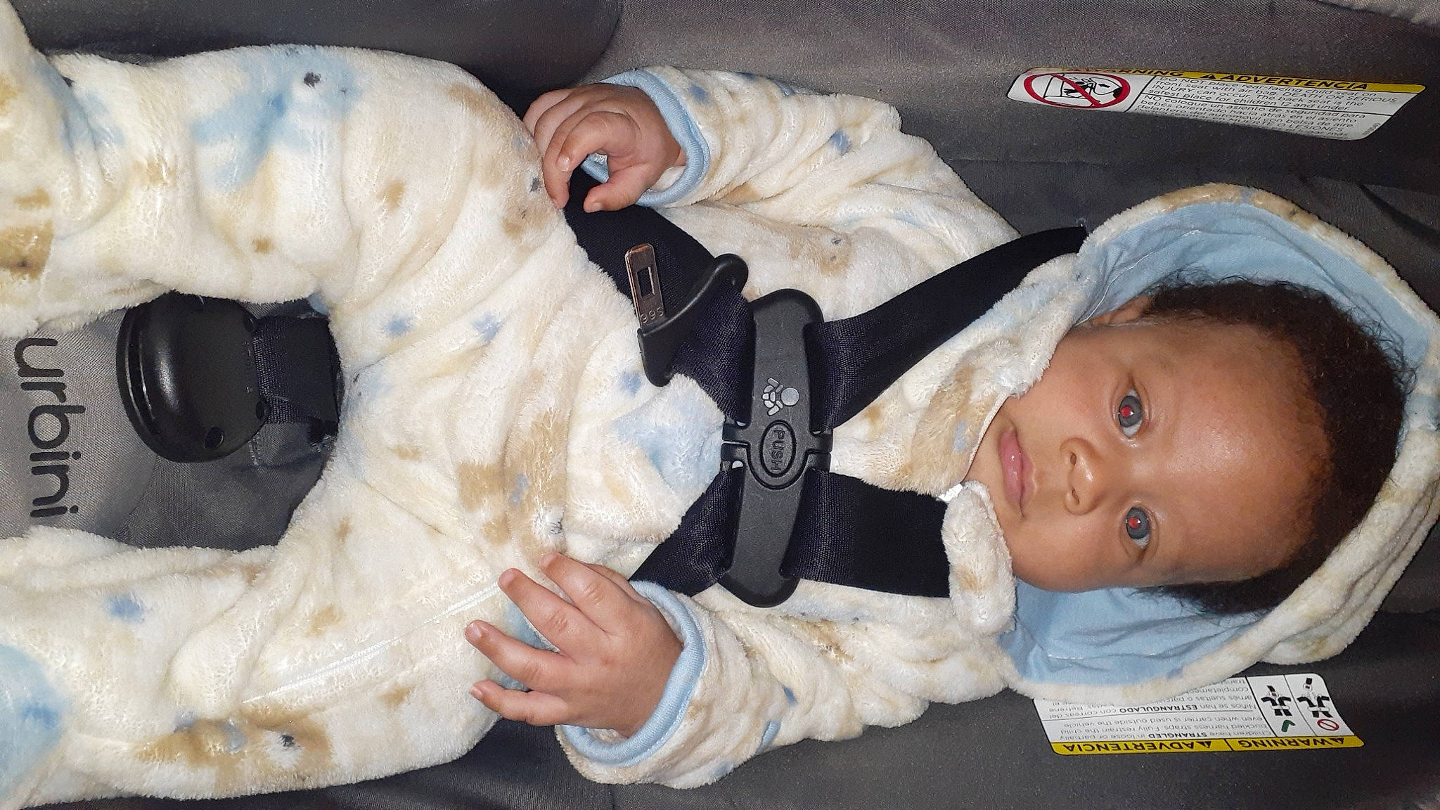 Bruce is registered to the contest to win money with this photo: art, baby, baby_products, baby_safety, baby_toddler_clothing, cheek, child, comfort, fur, head, linens, mammal, person, plush, product, room, sitting, sleeve, stuffed_toy, toddler