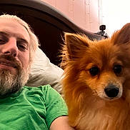 Stella is registered to the contest to win money with this photo: man, dog, bed, pillow, green_shirt, orange_dog, fluffy_dog, indoor, portrait, beard, headboard, relaxed, pet, cute, furry, closeup, resting, human, casual, friendship