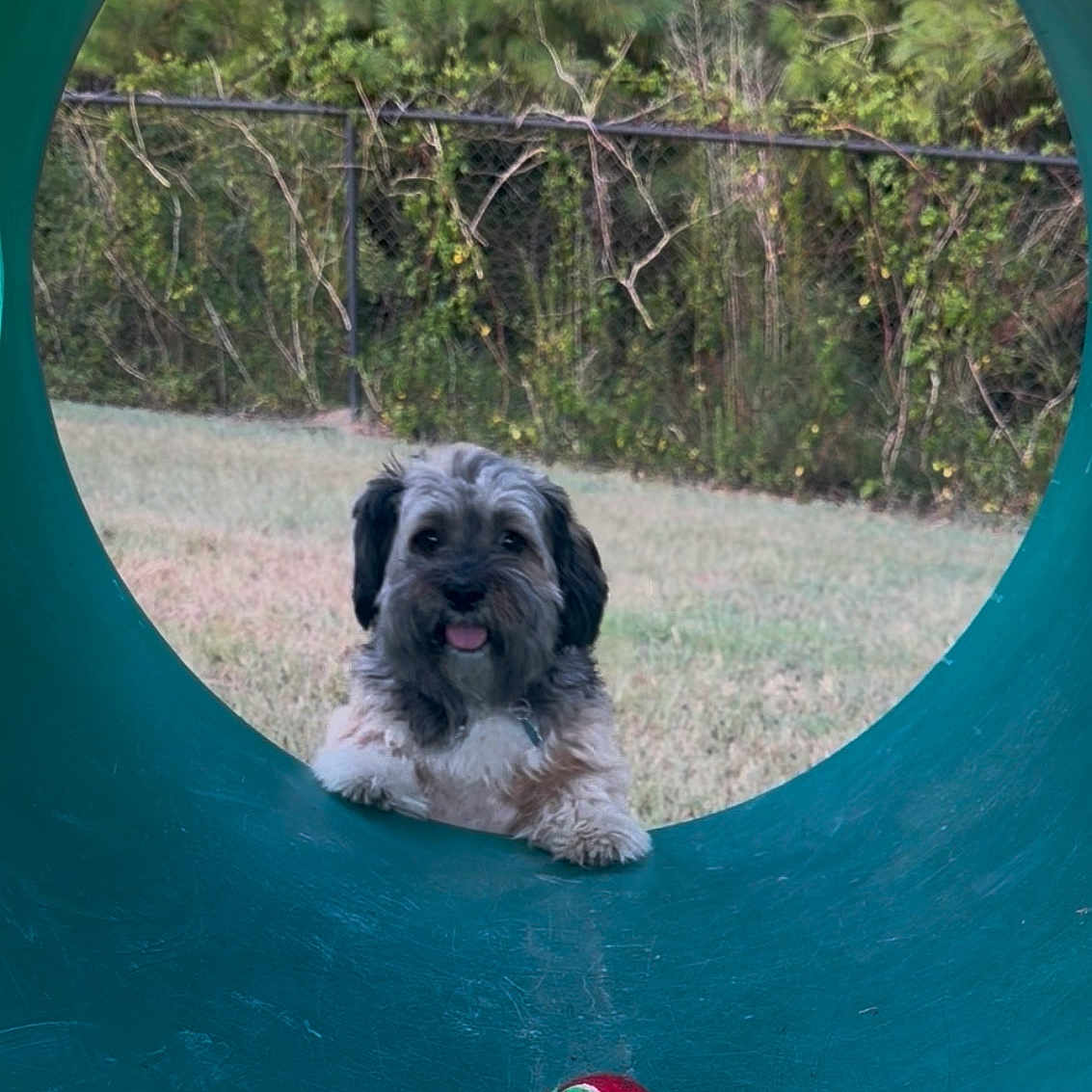Bailey