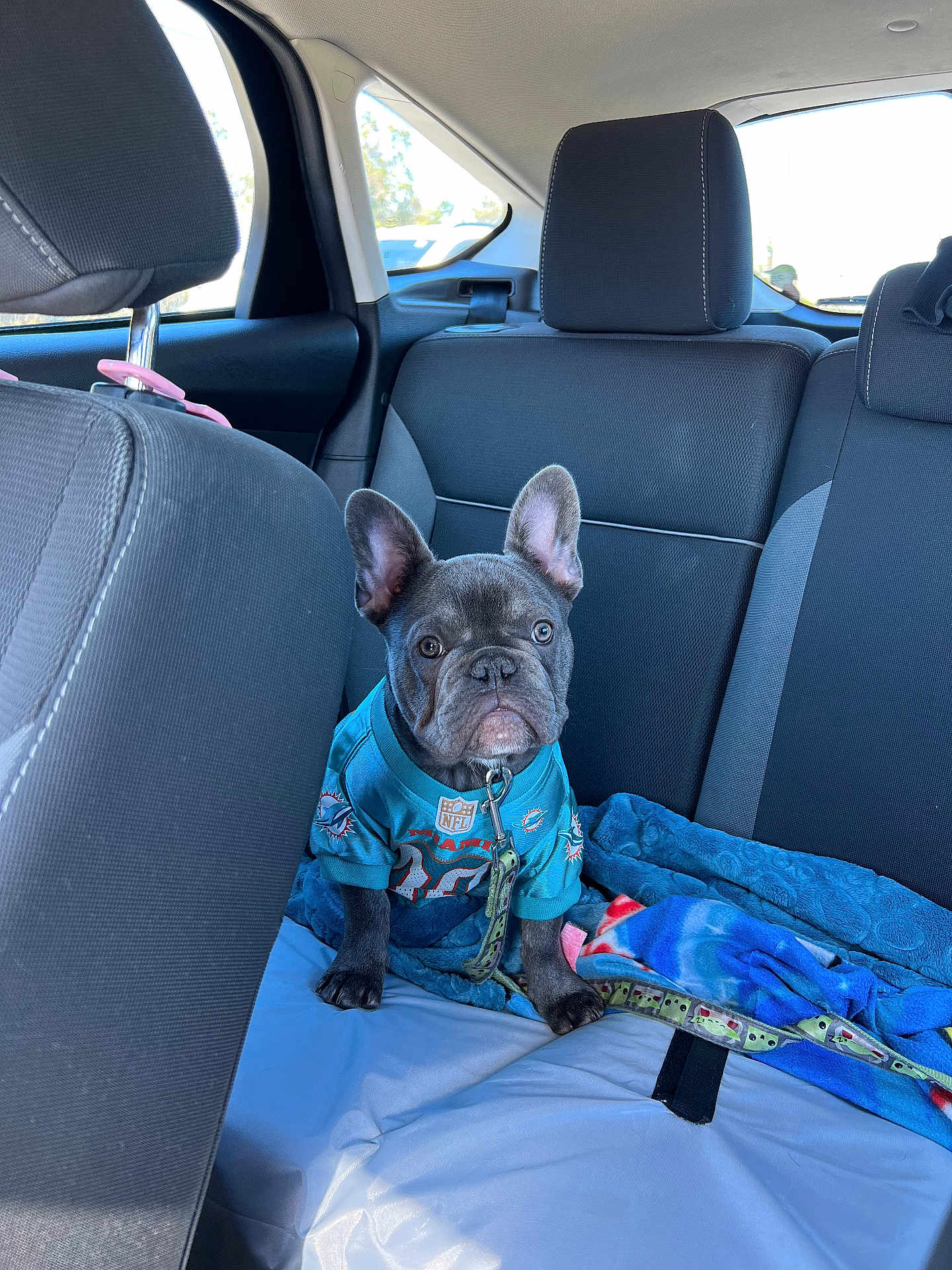 Rocko