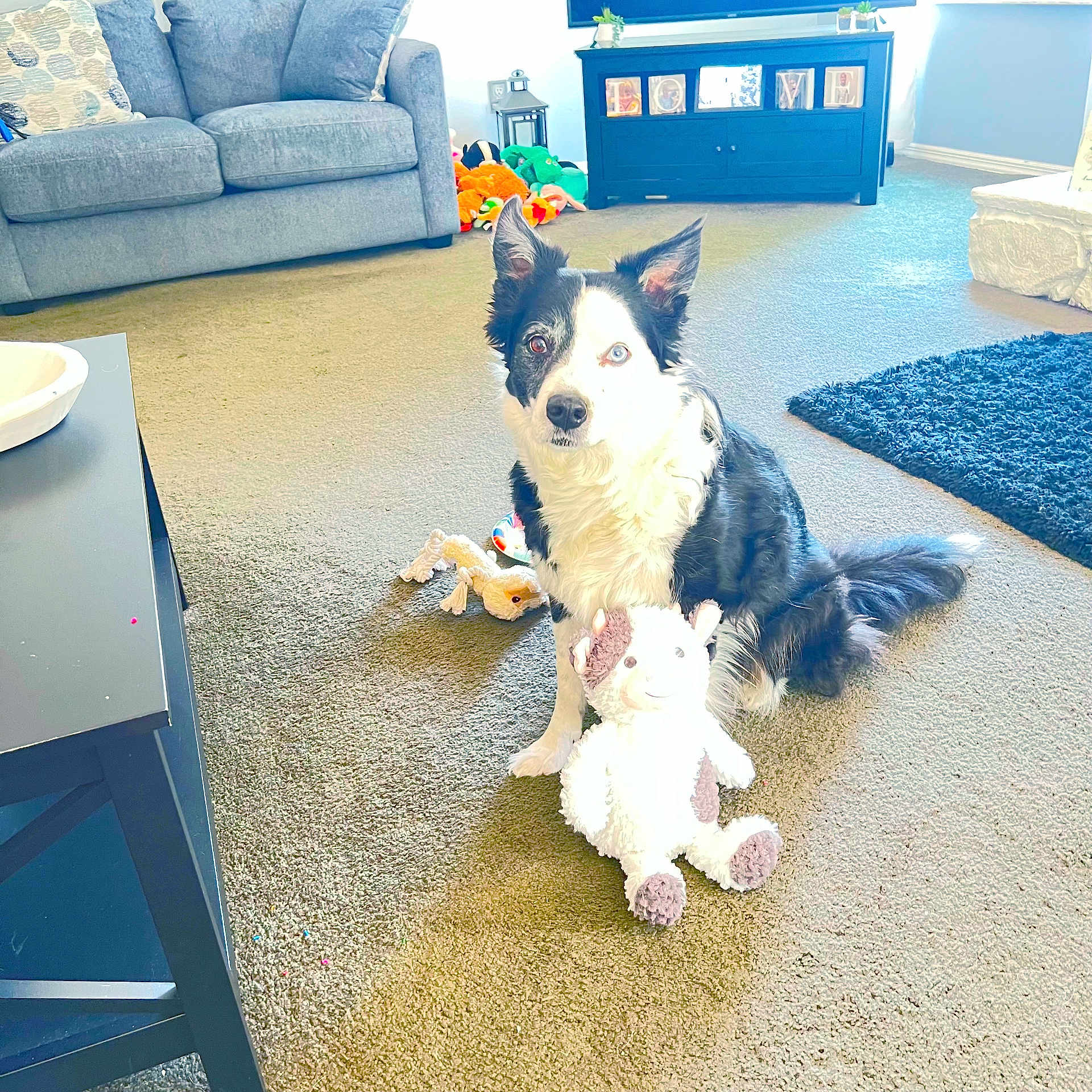 Lucy