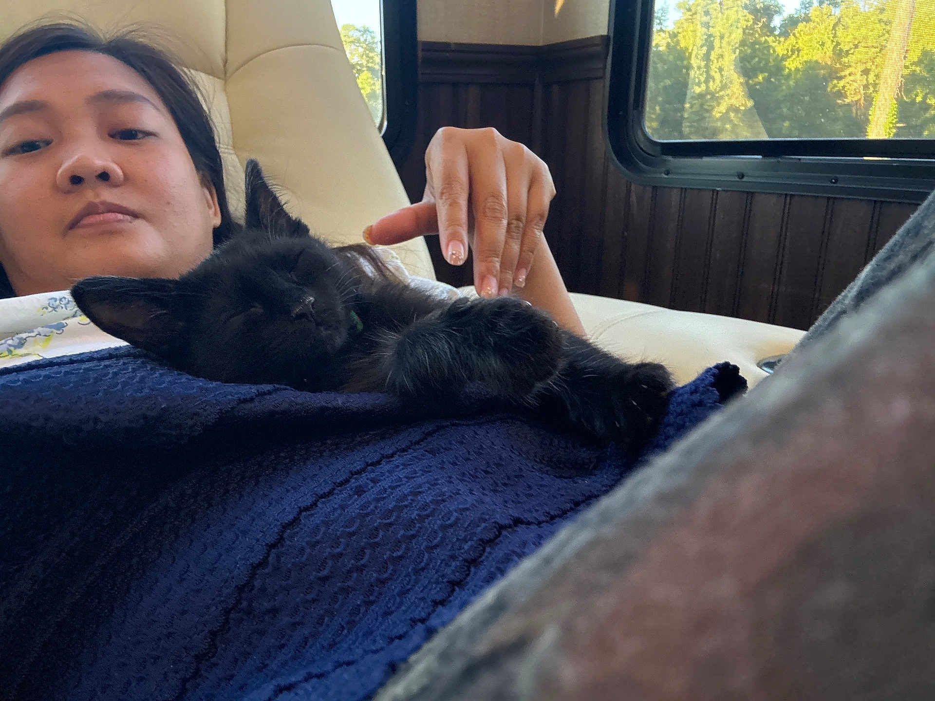 Bolbol joined the competition — help win amazing prizes! person, cat, black_cat, sleeping_cat, indoor, window, chair, relaxing, comfort, cozy, fur, hand, resting, blue_clothing, natural_light, wood_paneling, nail_polish, home, pet, calm