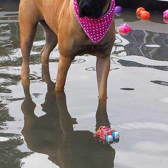 Roxy joined the competition — help win amazing prizes!