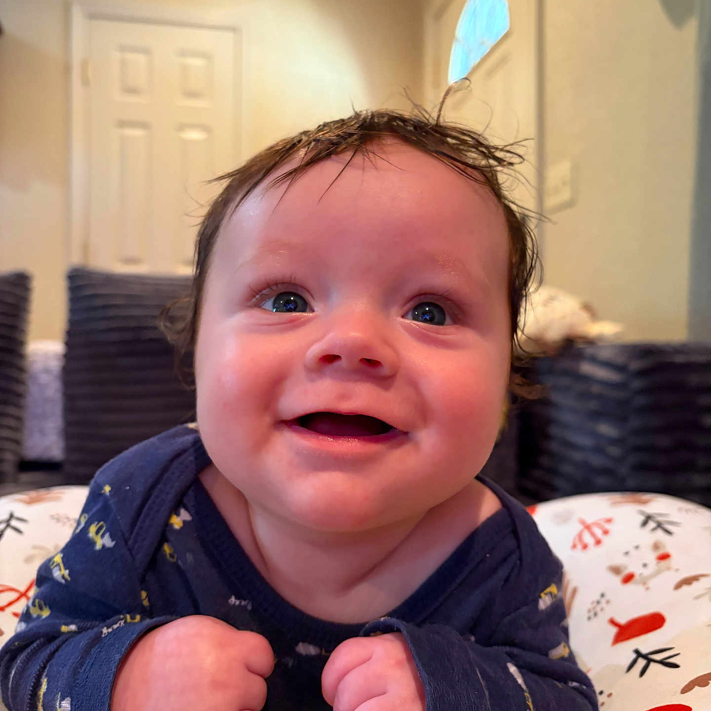Lucas joined the competition — help win amazing prizes! baby, infant, child, smiling, happy, portrait, face, blue_eyes, brown_hair, sitting, indoor, home, cushion, blanket, clothing, long_sleeves, hands, closeup, photography, adorable