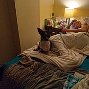 Jackson is registered to the contest to win money with this photo: dog, bed, blanket, person, lamp, nightstand, bottle, can, room, sleeping, fur, ear, resting, indoor, cozy, furniture, clutter, comfort, pet, relaxation