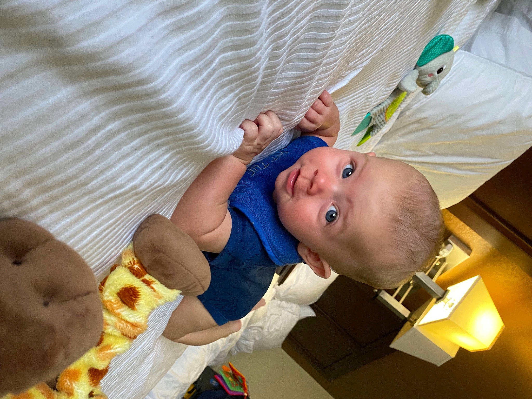 Xavier Bennett is registered to the contest to win money with this photo: arm, baby, baby_products, baby_toddler_clothing, baby_toys, child, comfort, finger, fun, happy, leisure, orange, person, play, room, skin, smile, teddy_bear, toddler, toy