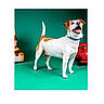 dog, jack_russell_terrier, pet, animal, standing, smiling, open_mouth, studio, portrait, turquoise_background, red_toy, collar, white_fur, brown_patches, tail, four_legs, canine, playful, indoor, photography