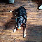 Sid joined the competition — help win amazing prizes!