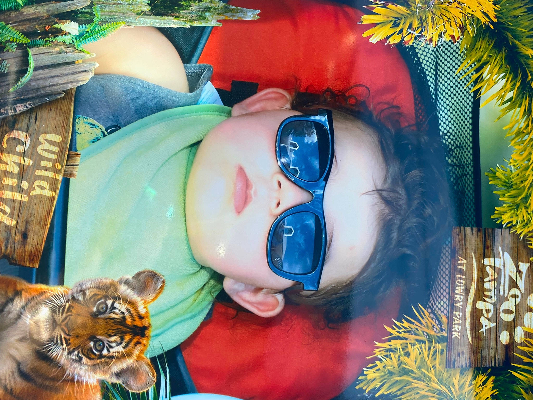 Enzo joined the competition — help win amazing prizes! arecales, art, bengal_tiger, big_cats, cool, event, eyewear, felidae, fun, headgear, leisure, mouth, organism, people, person, personal_protective_equipment, plant, snapshot, tiger, tree