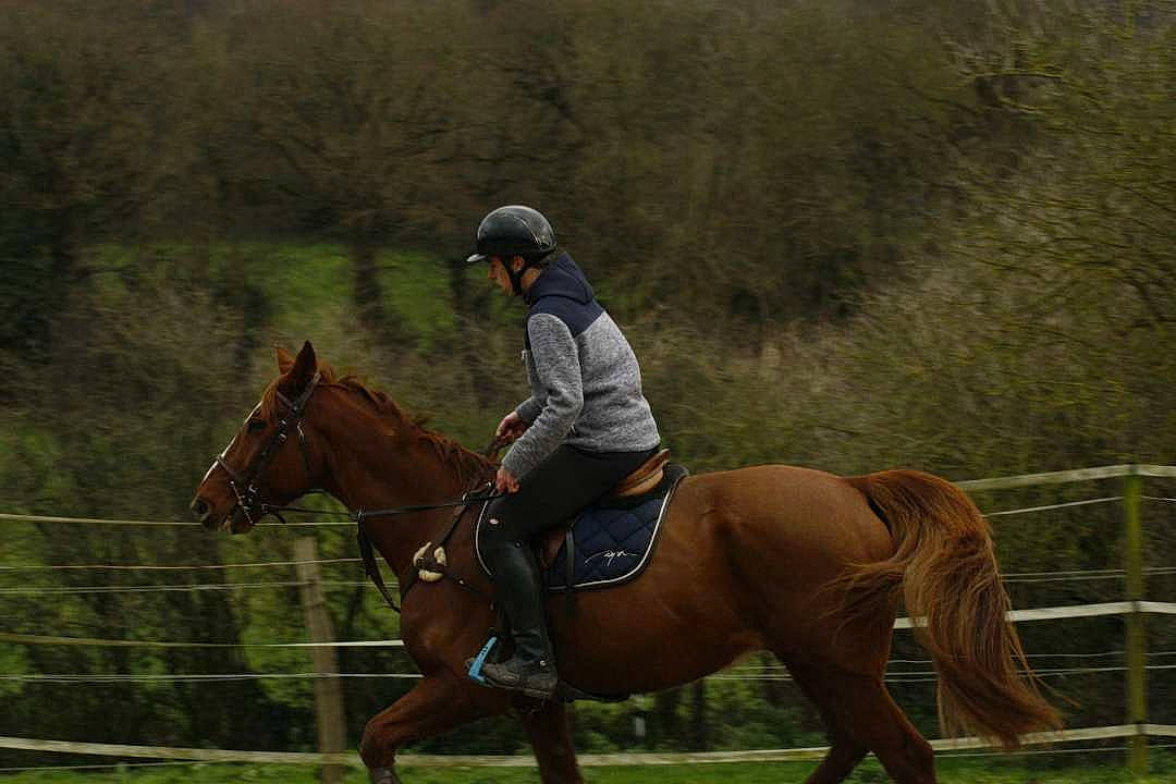 Alf participe au concours pour gagner de l'argent avec cette photo : animal_sports, bridle, equestrian_sport, equestrianism, equitation, eventing, halter, horse, horse_supplies, horse_tack, jockey, mammal, mane, mare, outdoor_recreation, recreation, rein, saddle, sports, vertebrate