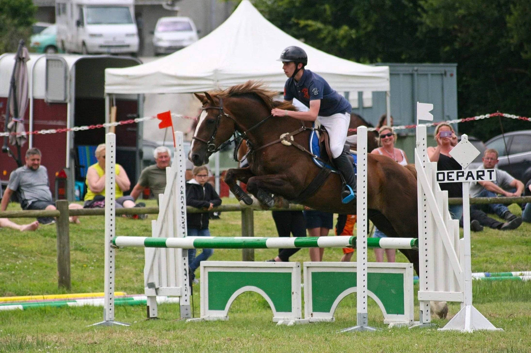 Japlou a rejoint le concours — aidez-le/la à gagner de superbes lots ! animal_sports, bridle, cross_country_equestrianism, english_riding, equestrian, equestrianism, equitation, eventing, halter, horse, horse_supplies, horse_tack, hurdle, jumping, mammal, rein, saddle, show_jumping, sports, vertebrate