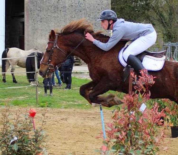 Japlou a rejoint le concours — aidez-le/la à gagner de superbes lots ! animal_sports, bridle, endurance_riding, english_riding, equestrian_sport, equestrianism, equitation, eventing, horse, horse_supplies, mammal, mane, mare, recreation, rein, riding_instructor, saddle, show_jumping, stallion, vertebrate