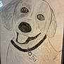 animal, artwork, black_and_white, canine, collar, dog, drawing, ears, face, hand_drawn, happy, name_tag, nose, paper, pencil_sketch, pet, portrait, smile, tag, tongue