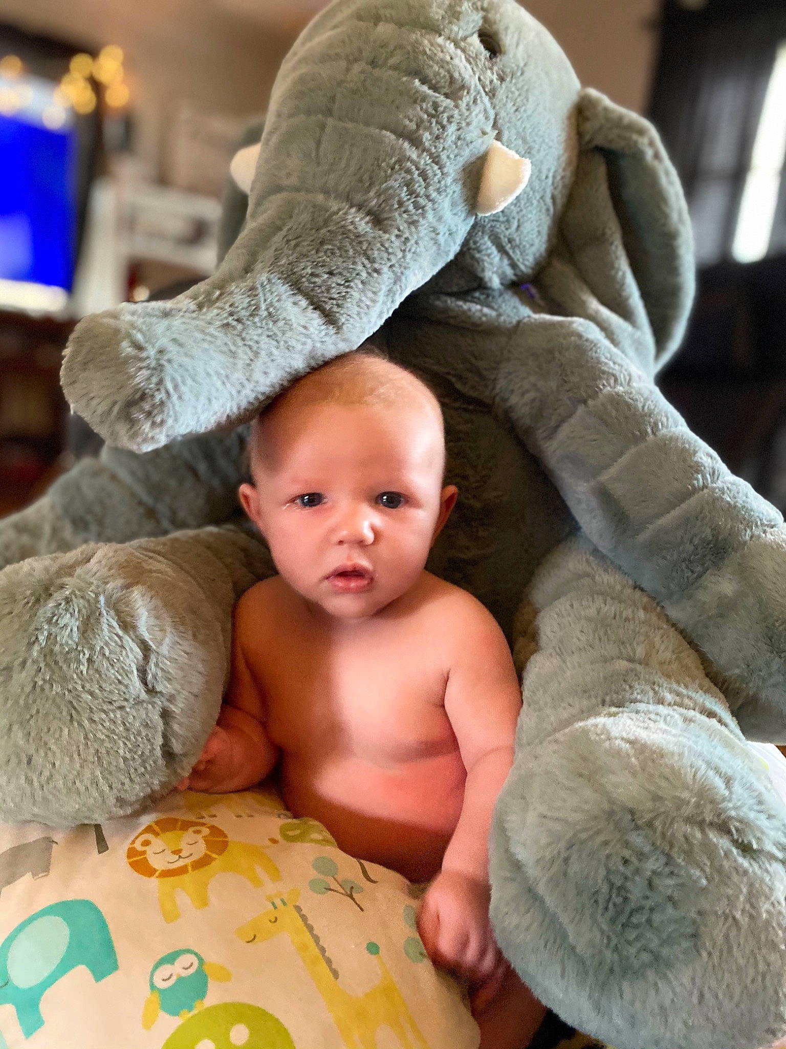 Braxtyn is registered to the contest to win money with this photo: abdomen, baby, baby_sleeping, blue, cheek, child, comfort, finger, hand, linens, mammal, people, person, skin, stomach, textile, toddler, trunk, vertebrate, white