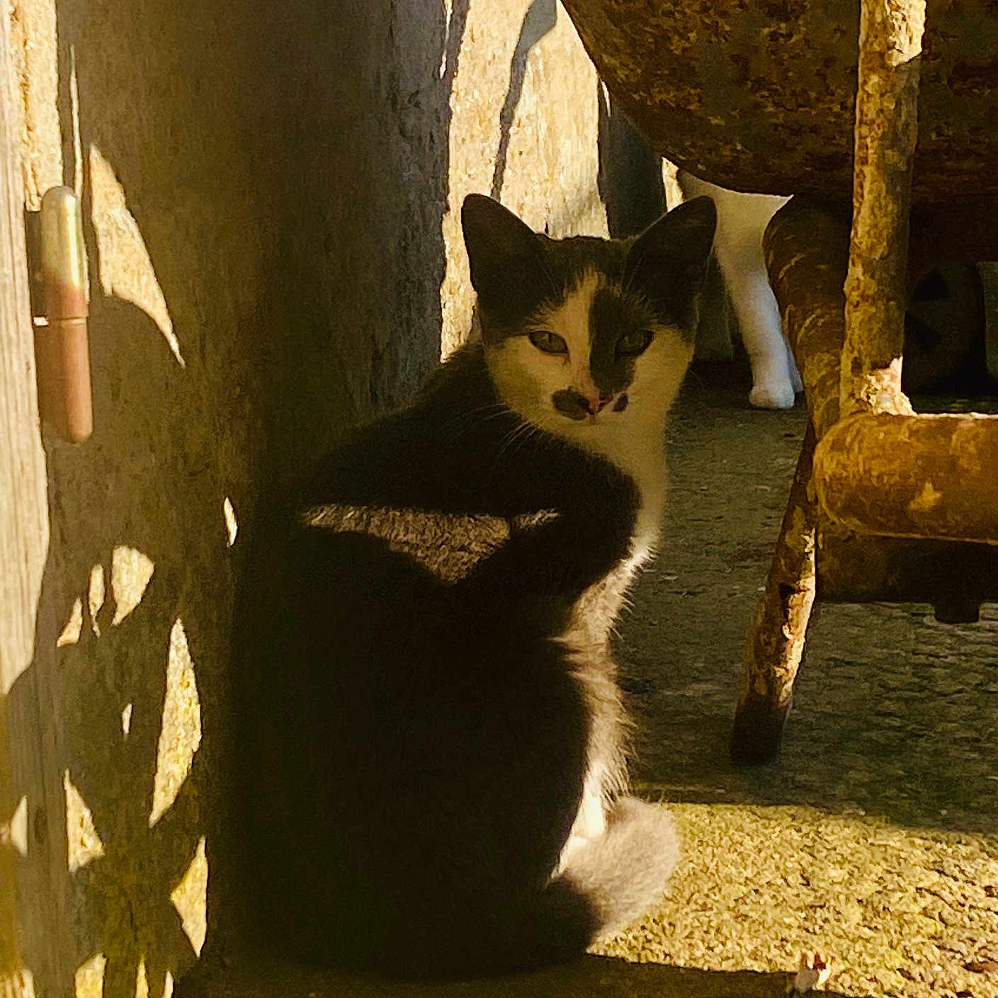 Luna