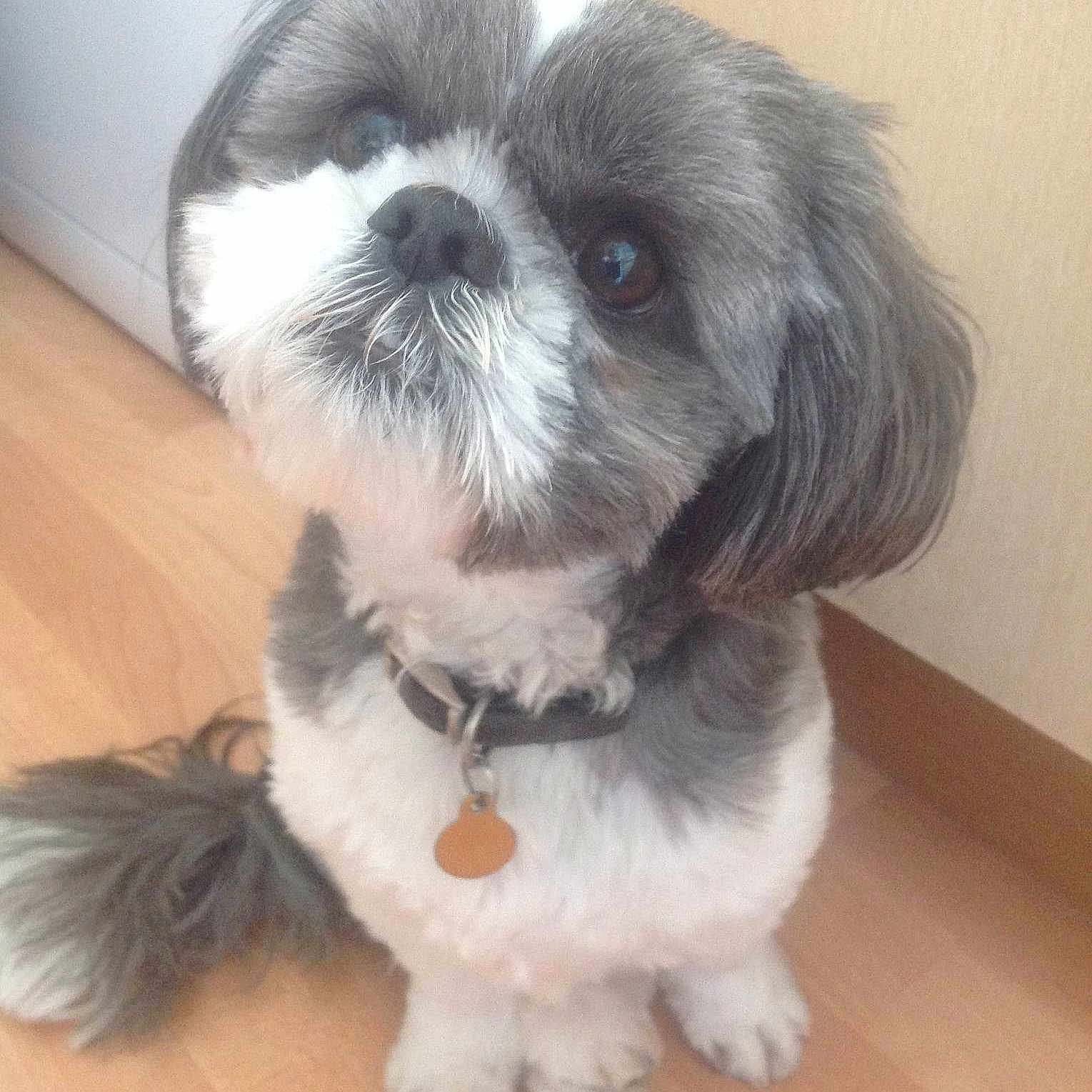 Bryn joined the competition — help win amazing prizes!