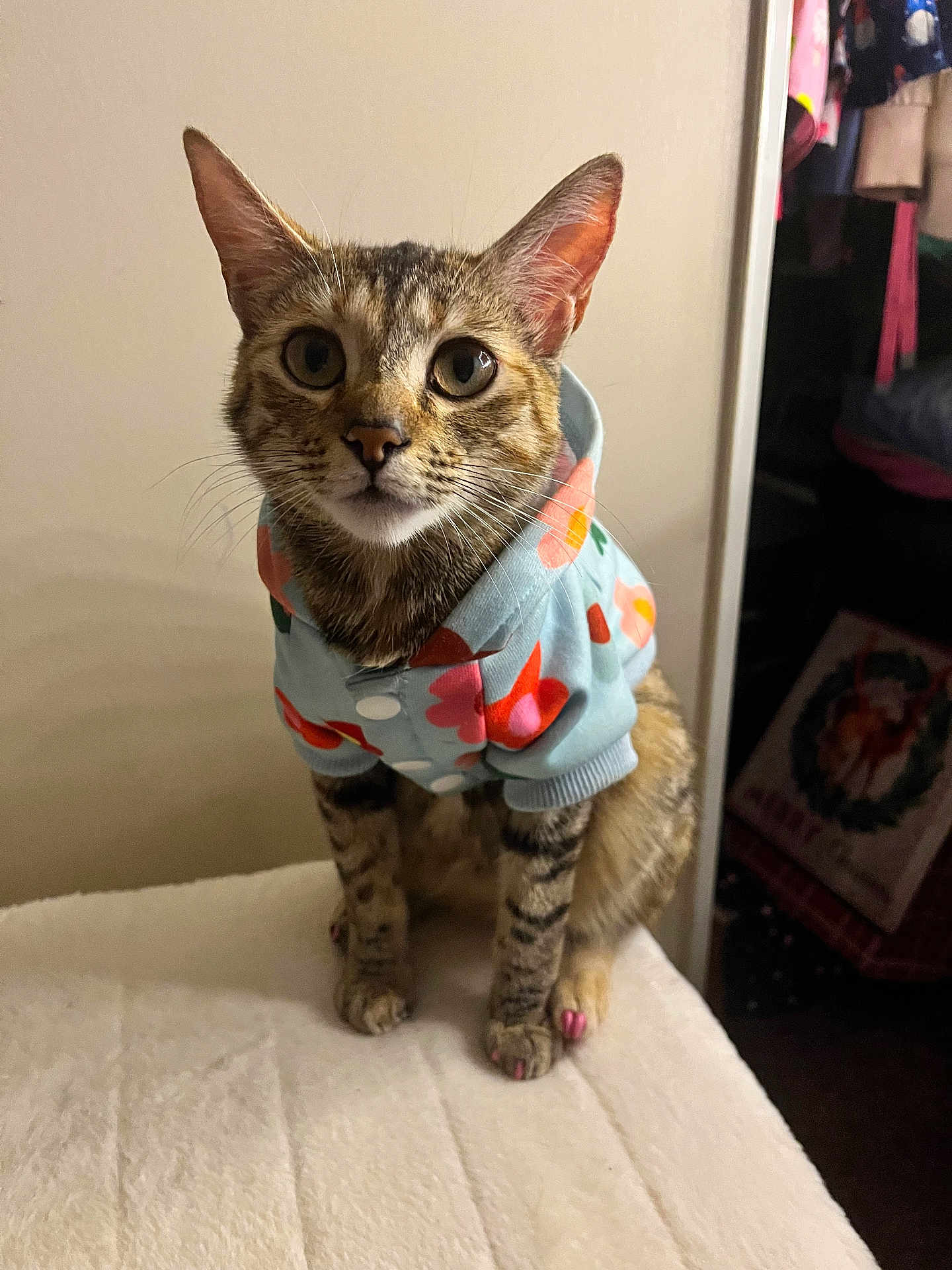 Mimi