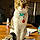Archie