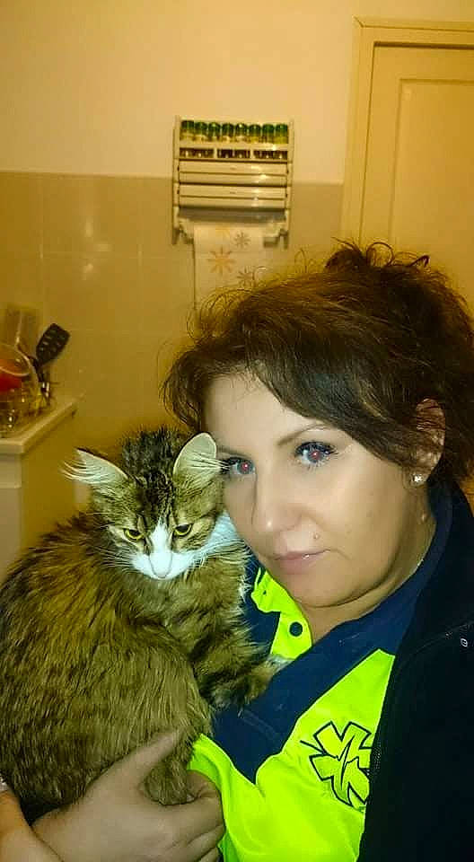 Zoé participe au concours pour gagner de l'argent avec cette photo : black_hair, carnivoran, cat, cat_like_mammal, eye, face, fur, girl, hair, hairstyle, head, iris, kitten, mammal, person, skin, small_to_medium_sized_cats, smile, snapshot, vertebrate