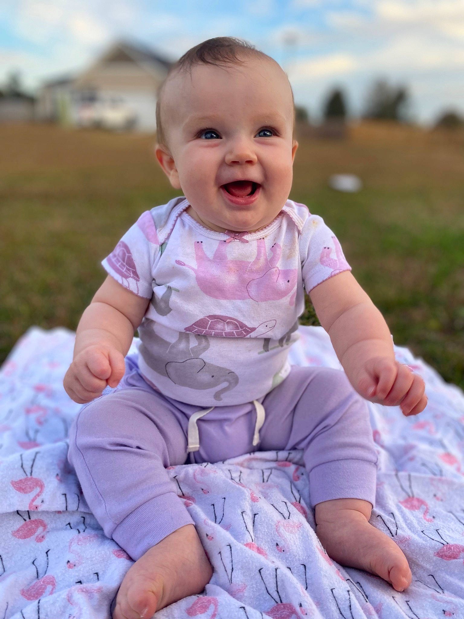 Isabella Rose is registered to the contest to win money with this photo: baby, baby_toddler_clothing, child, cloud, face, facial_expression, fun, grass, happy, leisure, people_in_nature, person, pink, shorts, sitting, skin, sky, sleeve, smile, t_shirt