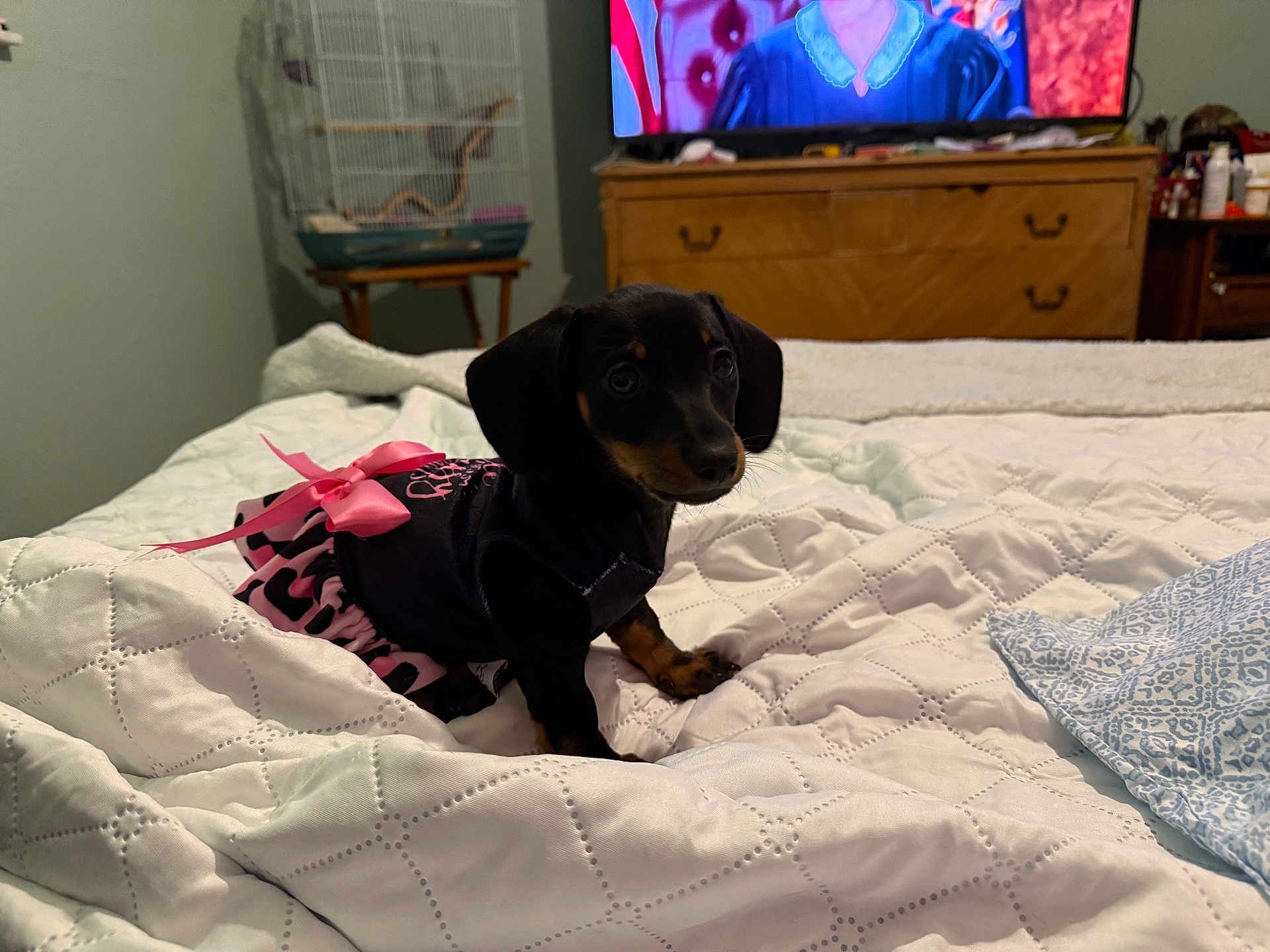 Charley