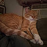 cat, orange_tabby, sleeping, pet, indoor, blanket, air_conditioner, feline, cozy, relaxing, fur, paw, whiskers, rest, comfort, domestic_animal, cute, animal, household, nap