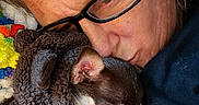 Ms Bubbles B joined the competition — help win amazing prizes! animal, blanket, brown_fur, close_up, comfort, cozy, cuddling, dog, eyewear, face, fur, glasses, indoor, person, pet, portrait, resting, sleeping, snuggling, warm_clothing