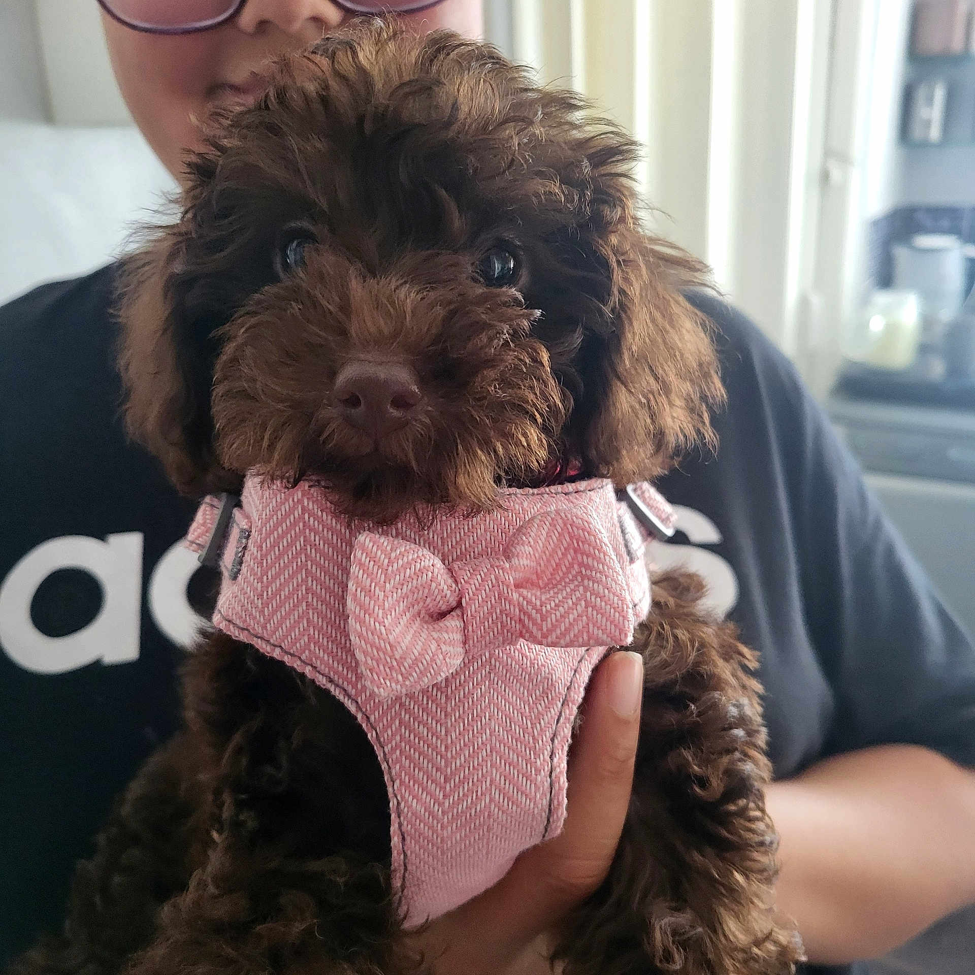 Coco