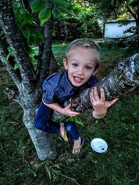 Kaleb joined the competition — help win amazing prizes! child, fun, grass, jungle, person, photography, plant, play, smile, toddler, tree, woodland