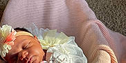 Shamari joined the competition — help win amazing prizes! baby, newborn, sleeping, blanket, pink, mittens, headband, flower, lace, soft, cozy, infant, cute, peaceful, wrapped, indoors, carpet, closeup, portrait, warm_light