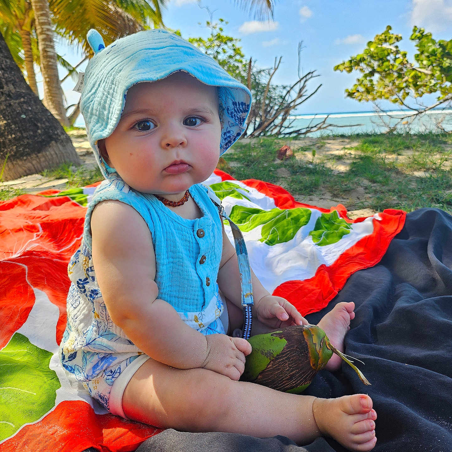 Pierre-Antoine a rejoint le concours — aidez-le/la à gagner de superbes lots ! accessories, animal, baby, beachwear, beak, bird, clothing, face, hat, head, jewelry, necklace, palmtree, person, photography, plant, portrait, summer, sunhat, tree