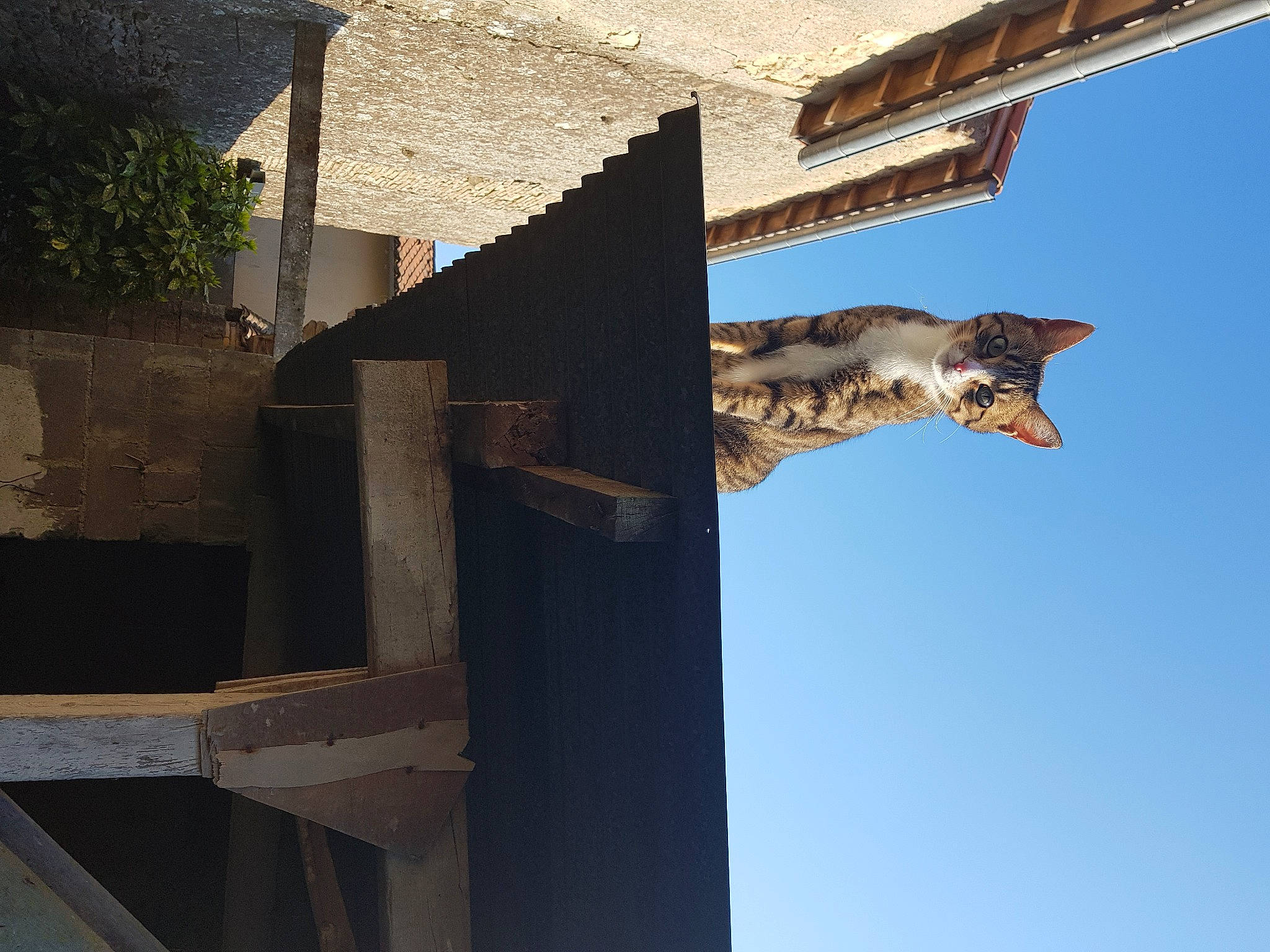 Mine participe au concours pour gagner de l'argent avec cette photo : arch, art, artifact, building, facade, house, monument, plant, roof, sculpture, shadow, sky, statue, tints_and_shades, tower, tree, trunk, urban_design, water, wood