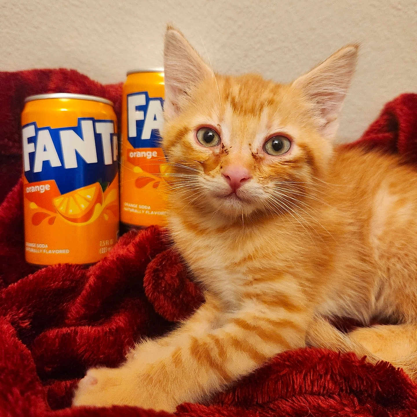 Fanta