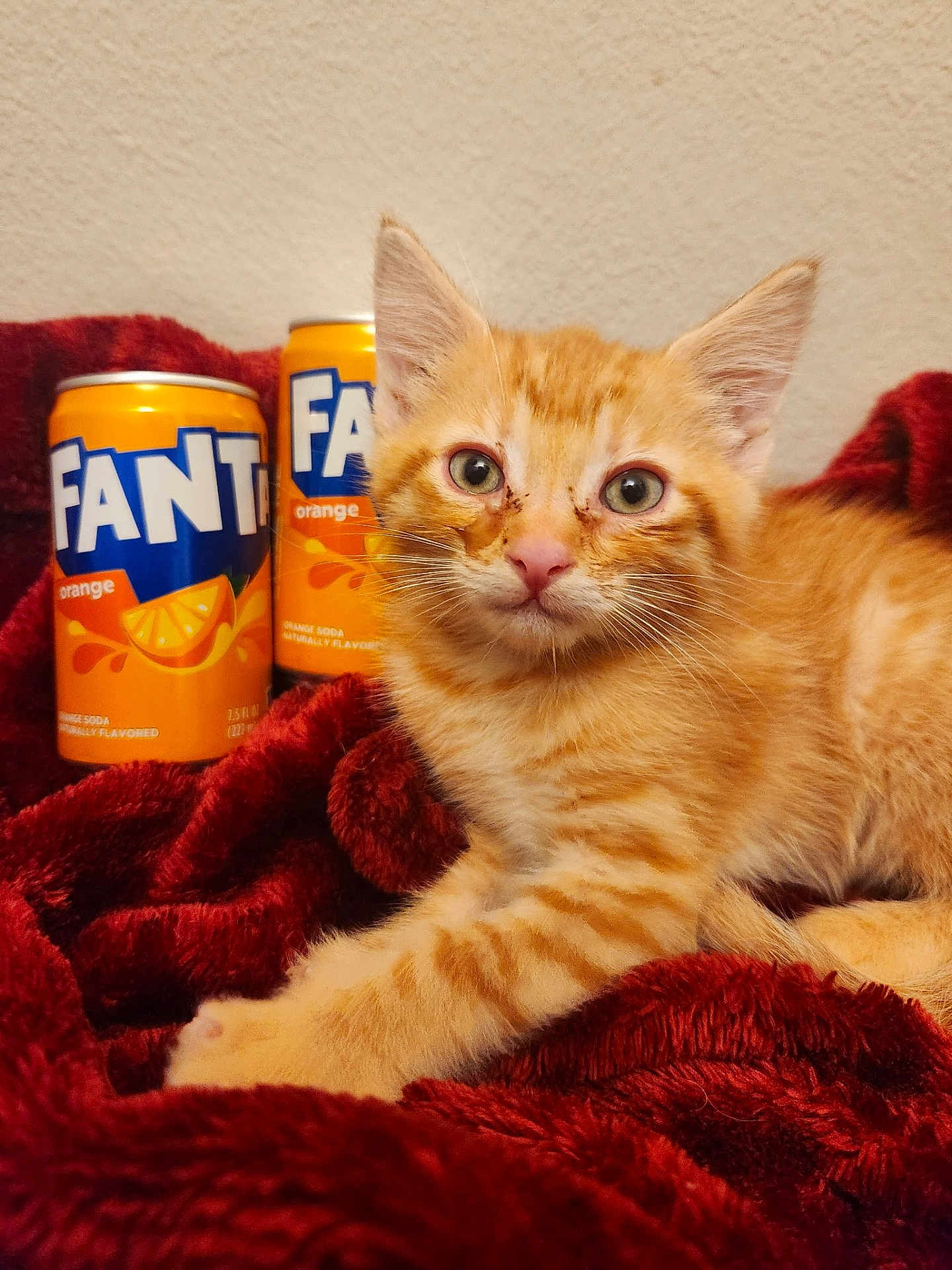 Fanta