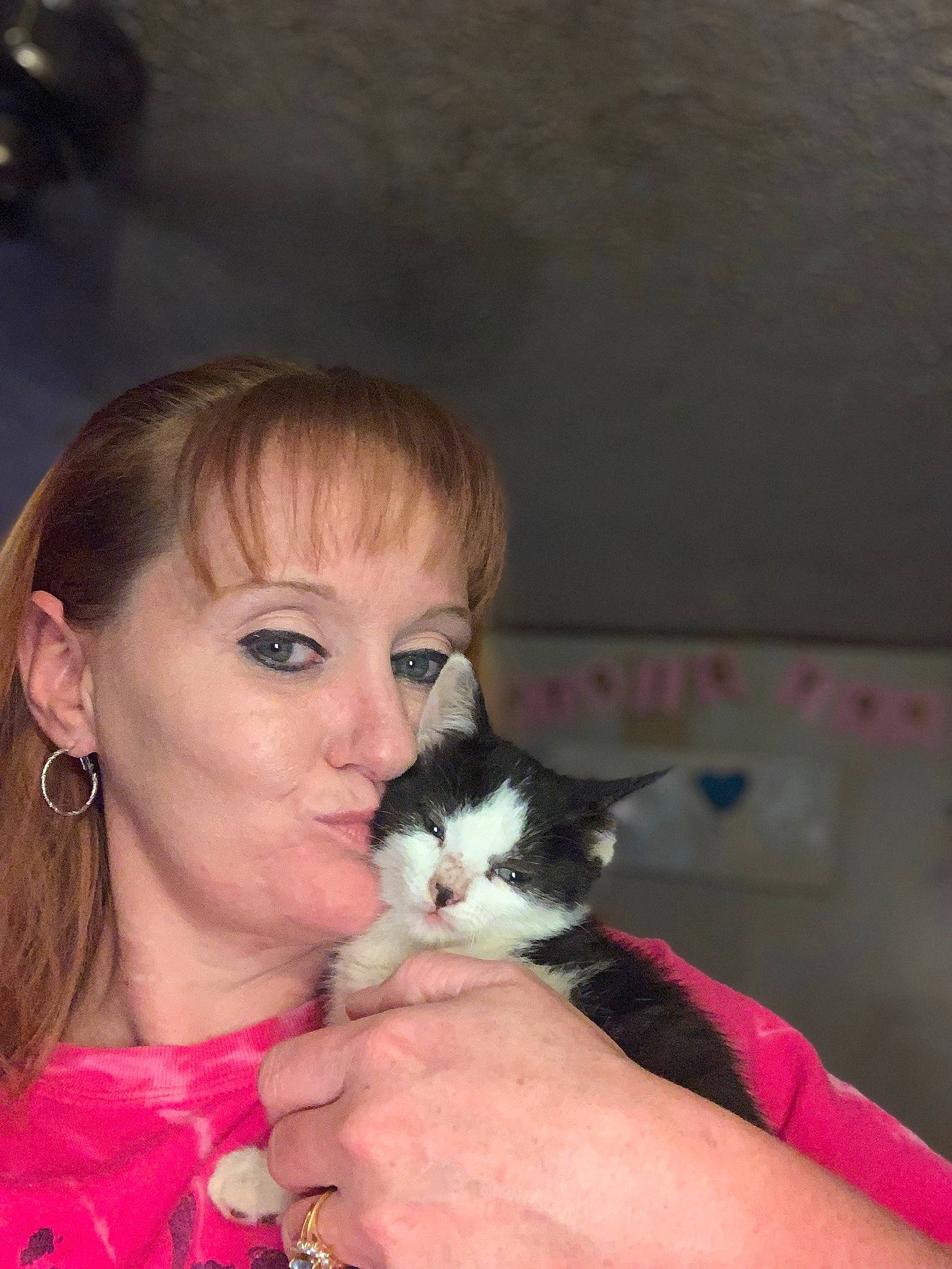 Luna is registered to the contest to win money with this photo: bangs, black_hair, carnivore, cat, ear, eyebrow, eyelash, fawn, felidae, flash_photography, hand, happy, iris, lap, lip, long_hair, nose, skin, small_to_medium_sized_cats, whiskers