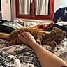 cat, ginger_cat, bed, blanket, hand, indoor, window, curtains, person, playful, furniture, cozy, home, relaxing, paw, animal, orange_cat, resting, comfort, human_interaction