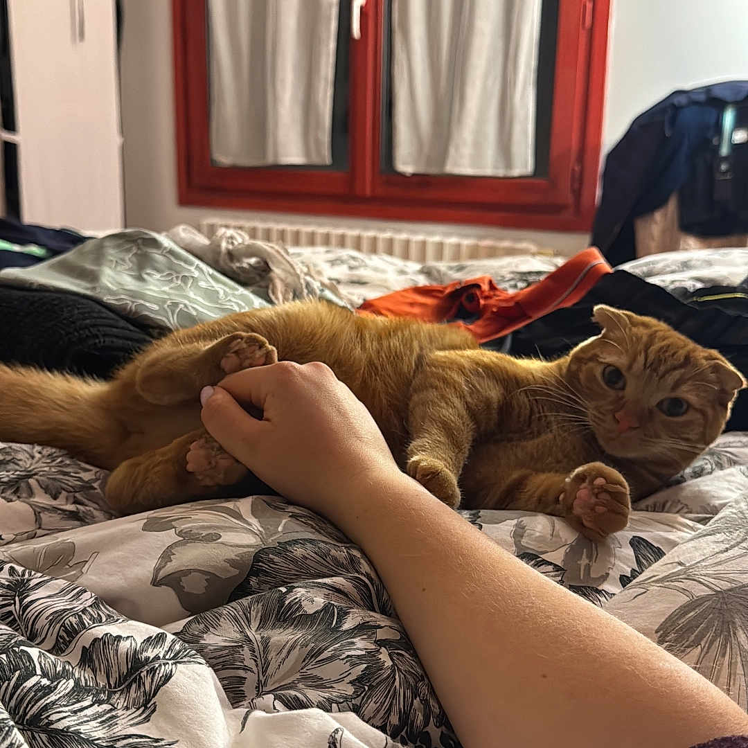 Laki