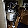 Mittens