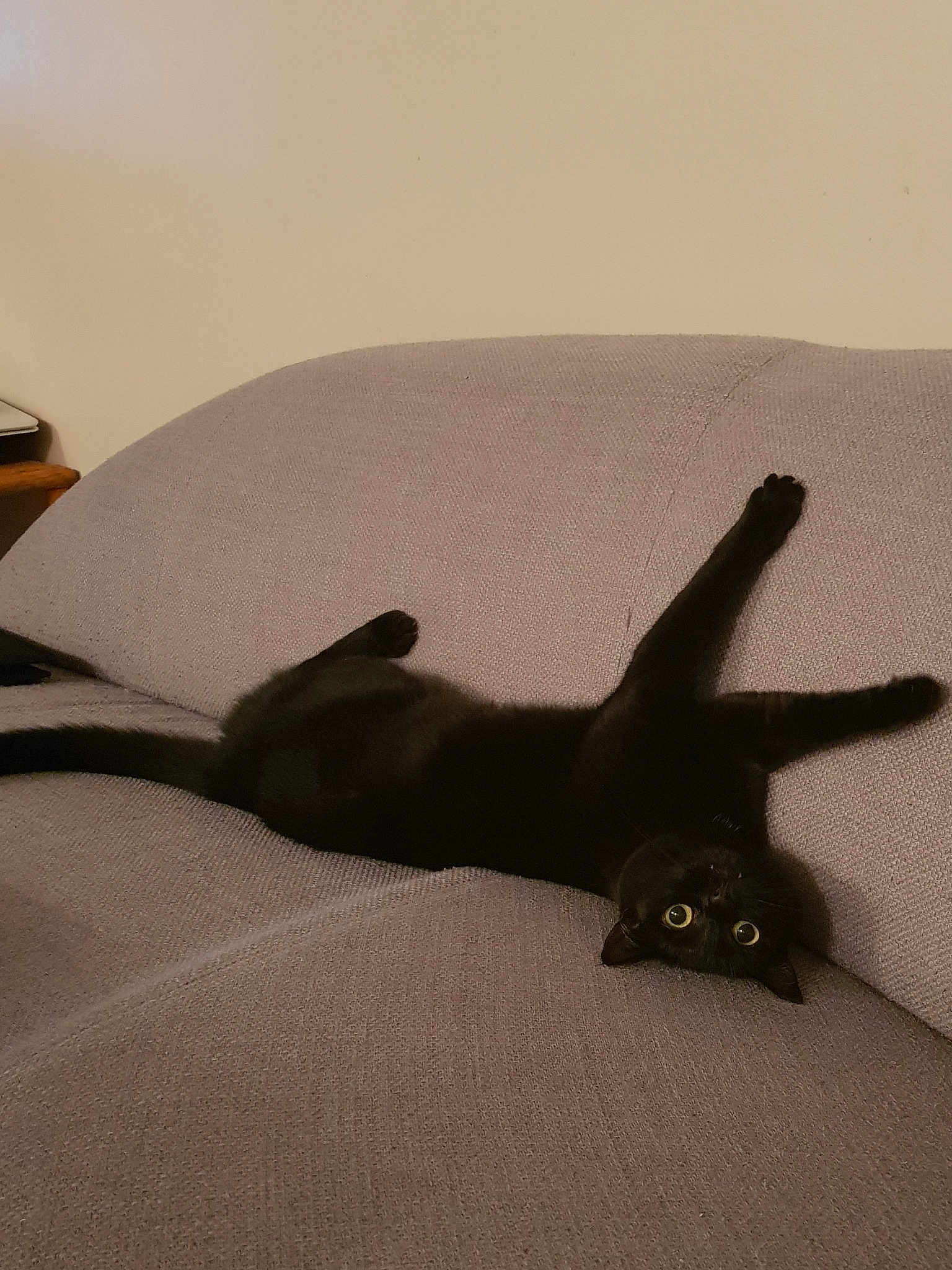 Pépite