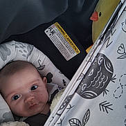 Violet joined the competition — help win amazing prizes! baby, infant, child, face, eyes, wide_eyed, lying_down, bassinet, car_seat, blanket, duck_toy, stuffed_animal, plush_toy, patterned_fabric, cozy, indoor, portrait, safety_label, sleeping_area, photography