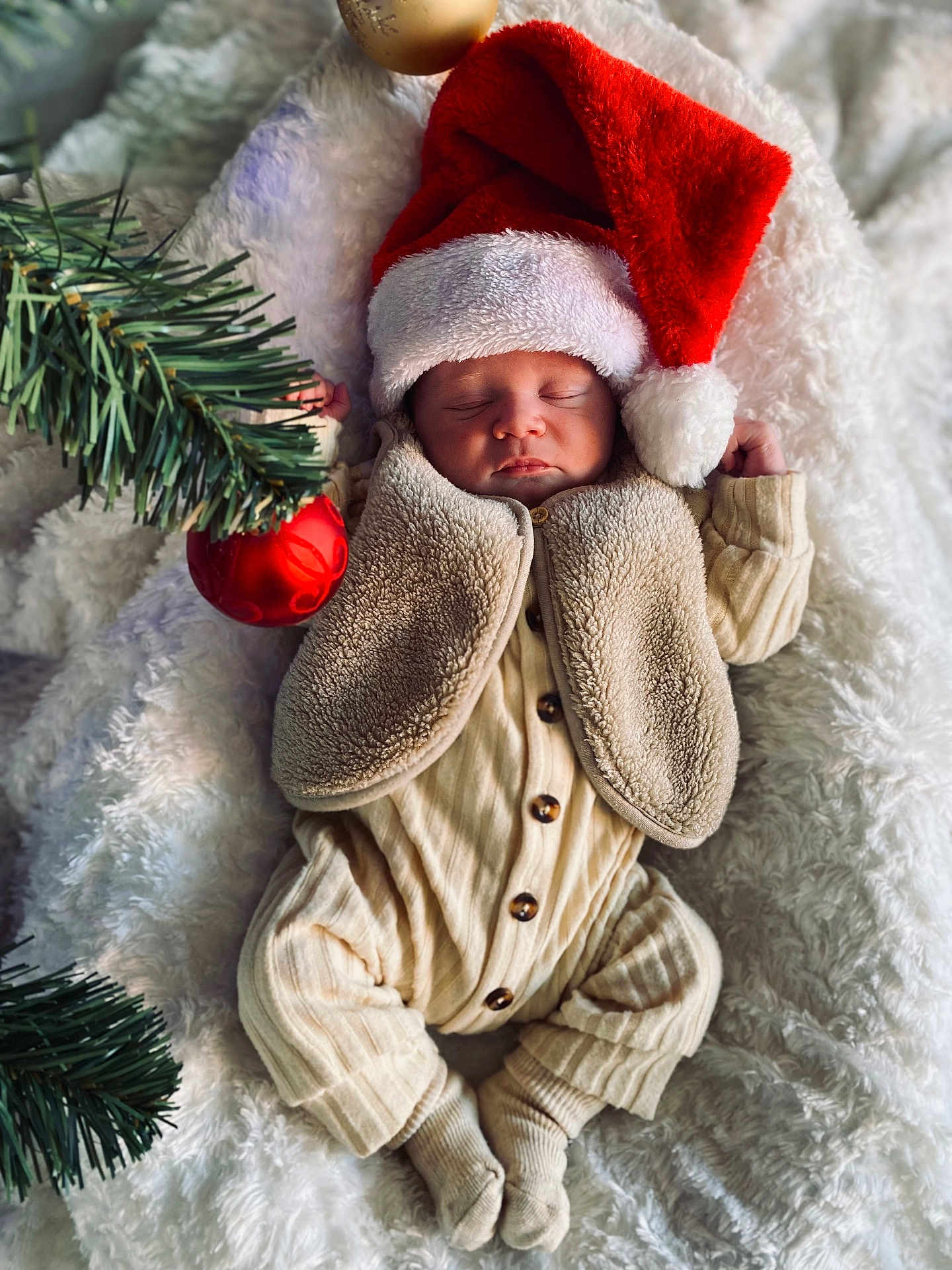 Jules participe au concours pour gagner de l'argent avec cette photo : baby, sleeping, santa_hat, christmas, holiday, ornament, pine_branch, blanket, cozy, infant, clothing, vest, pajamas, festive, holiday_decor, cute, soft, peaceful, portrait, indoor