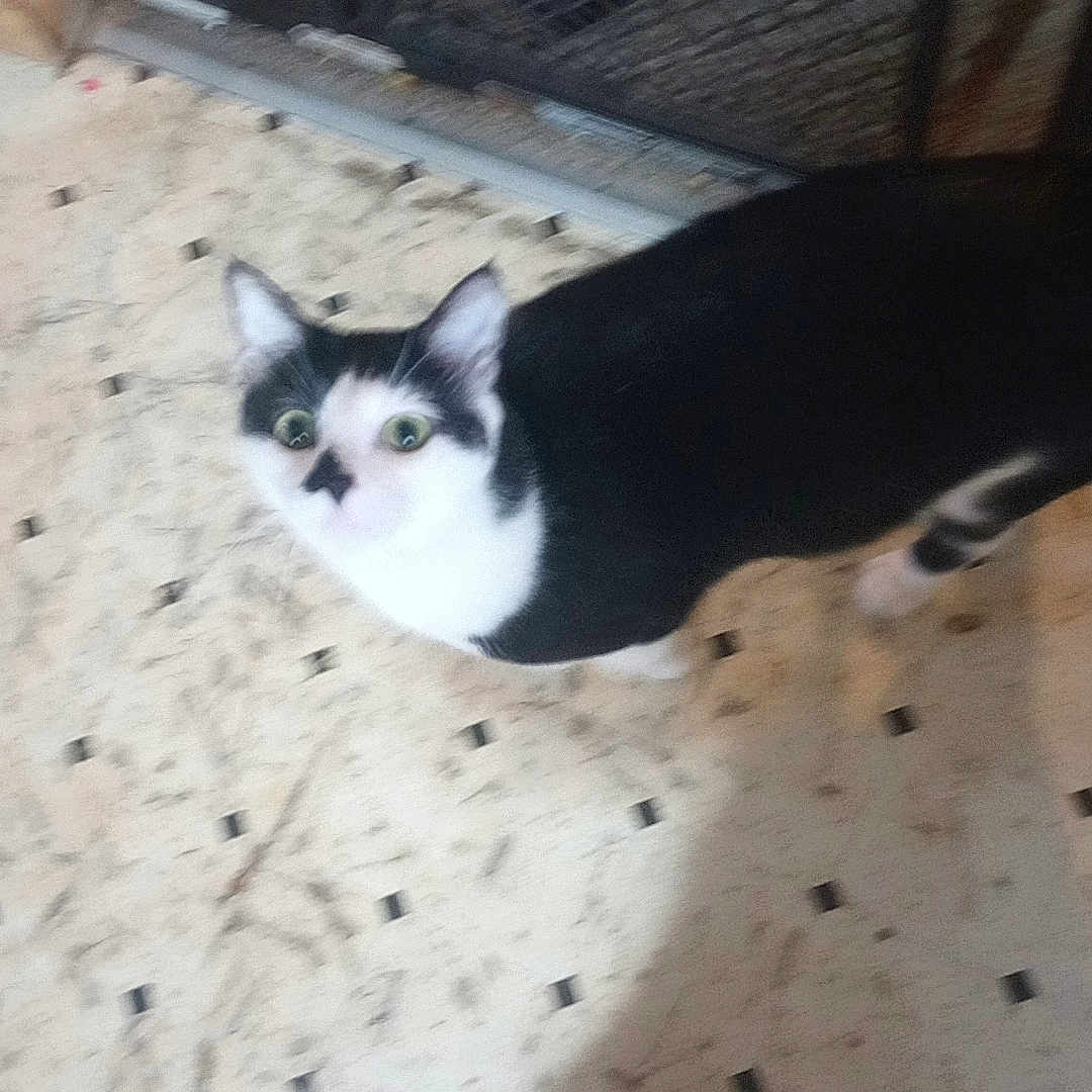 Mr.p