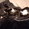 Moon is registered to the contest to win money with this photo: animal, bedding, belly_up, black_and_white, blanket, cat, cozy, cushion, fur, furniture, home, indoors, lying_down, nap, paws, pet, playful, relaxed, sleeping, whiskers