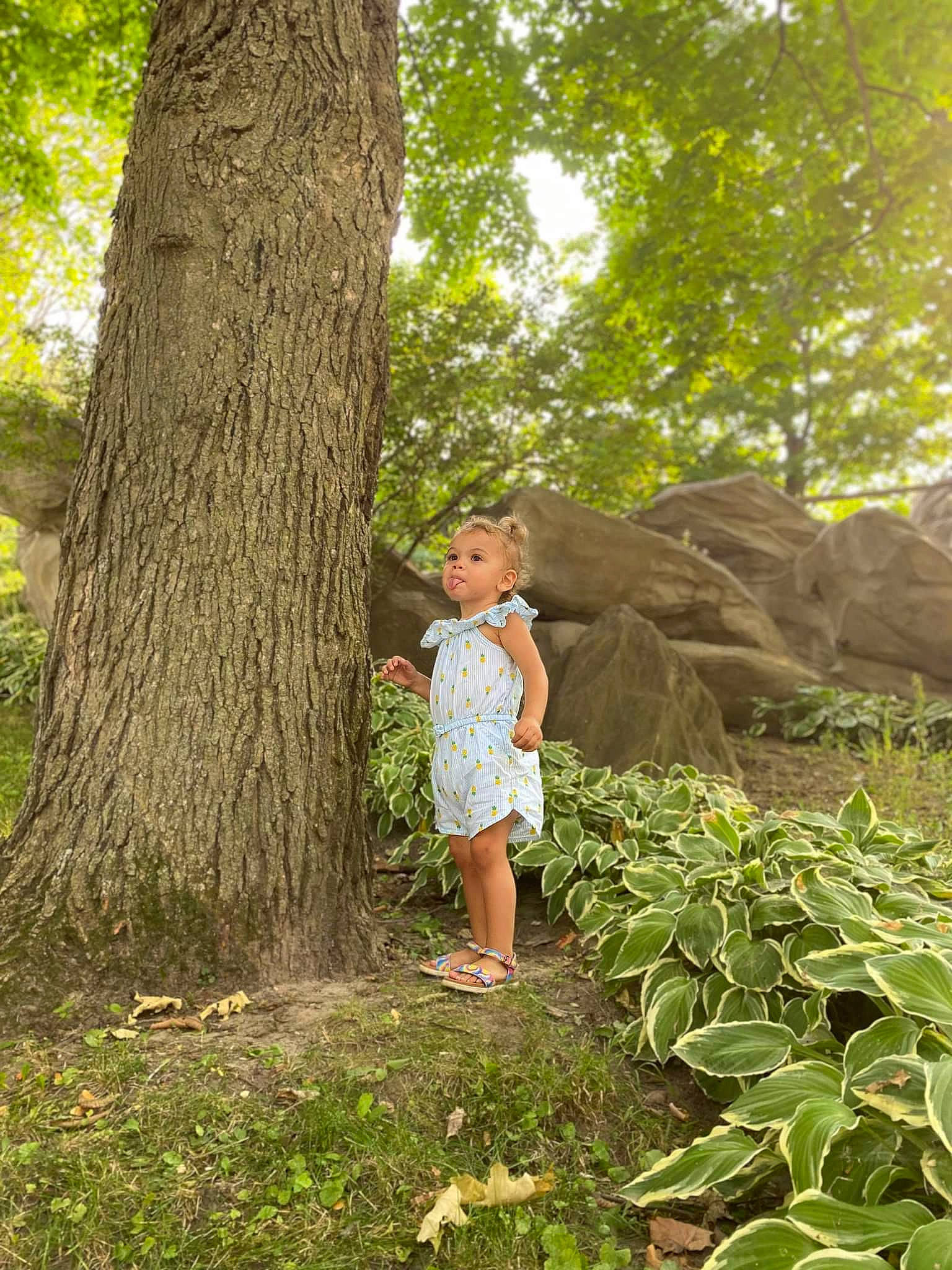 Norah participe au concours pour gagner de l'argent avec cette photo : adaptation, biome, botany, branch, fawn, forest, grass, happy, mammal, natural_environment, natural_landscape, people_in_nature, person, plant, shorts, summer, terrestrial_plant, tree, trunk, vertebrate