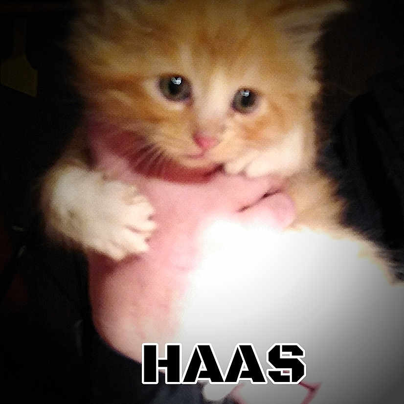Haas