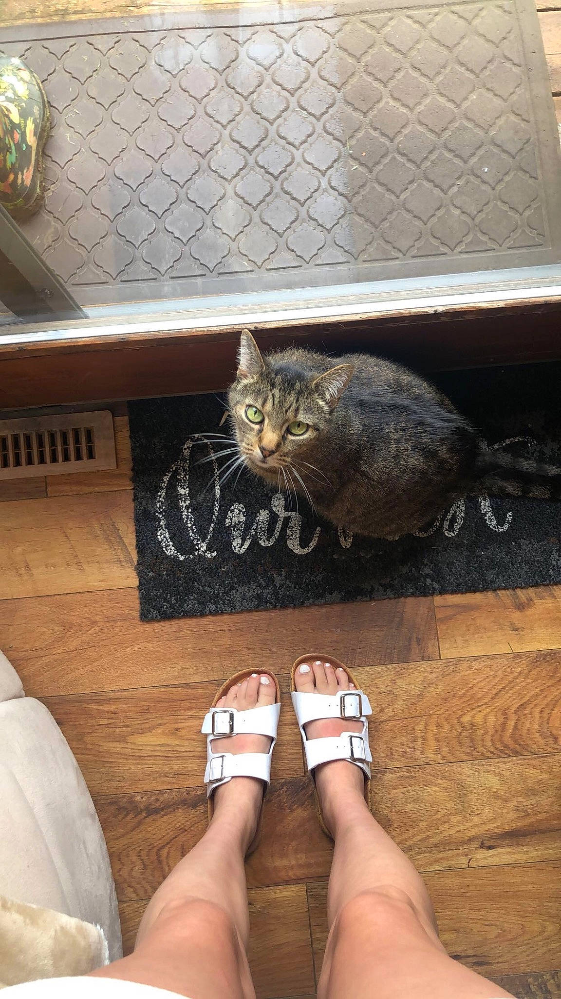 Skii is registered to the contest to win money with this photo: barefoot, black, carnivore, cat, comfort, felidae, flip_flops, floor, flooring, foot, hardwood, human_leg, leg, sandal, small_to_medium_sized_cats, tail, thigh, toe, whiskers, wood